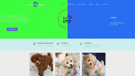 Screenshot of