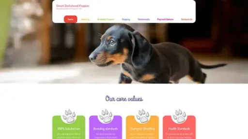 Screenshot of