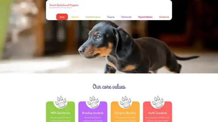 Screenshot of