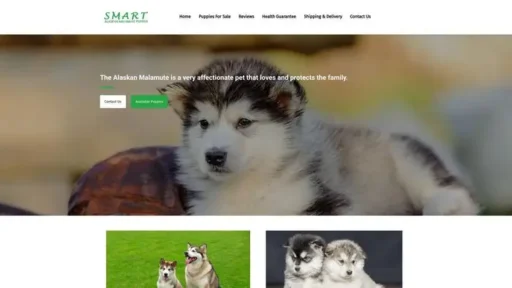 Screenshot of