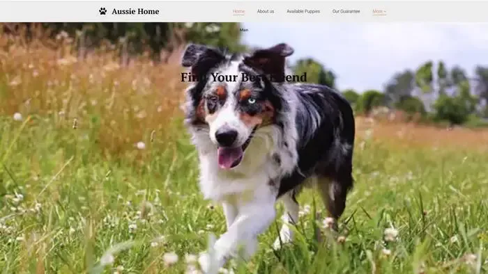 Screenshot of