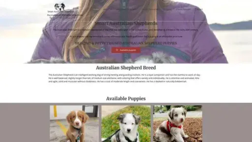 Screenshot of