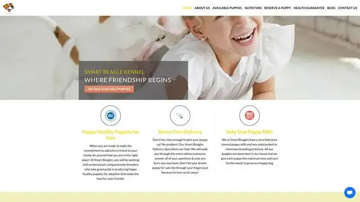 Screenshot of