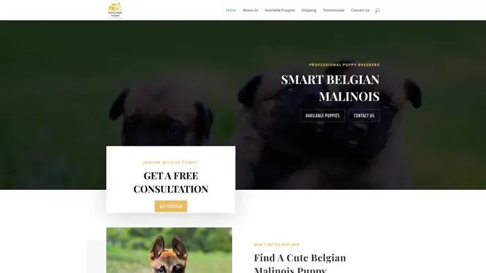 Screenshot of