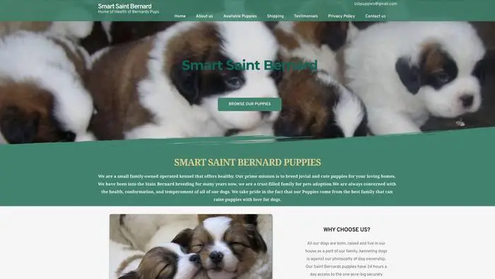 Screenshot of