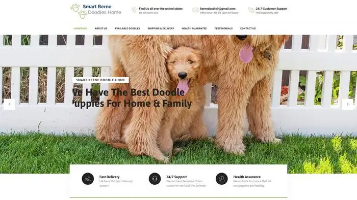 Screenshot of
