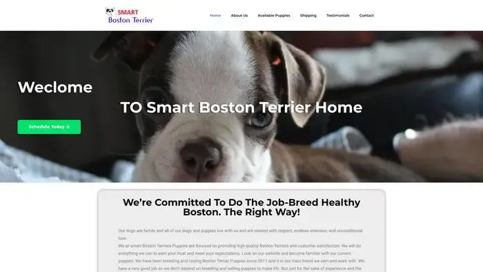 Screenshot of