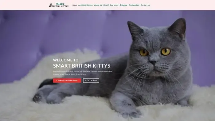 Screenshot of