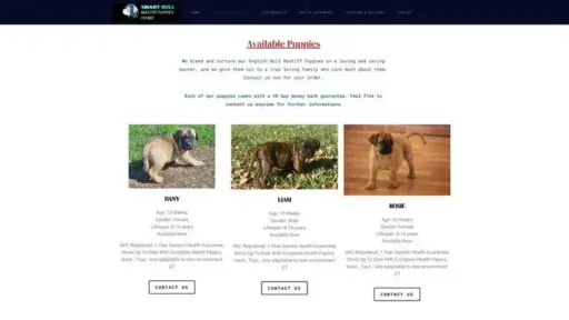 Screenshot of