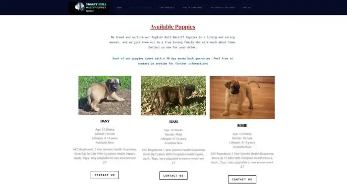 Screenshot of