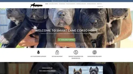 Screenshot of