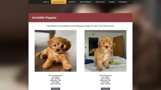 Screenshot of