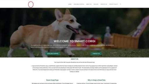 Screenshot of