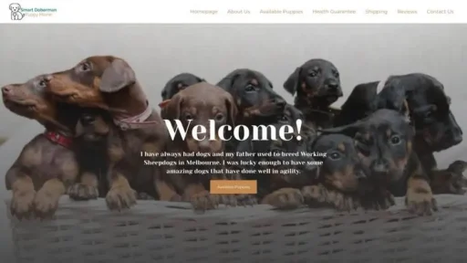 Screenshot of