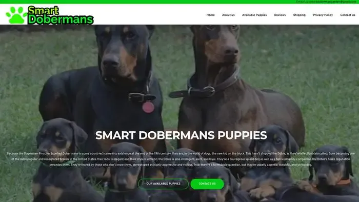 Screenshot of