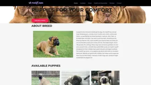 Screenshot of