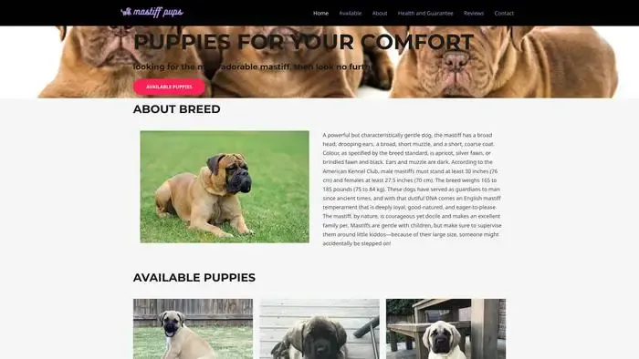 Screenshot of