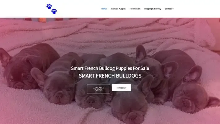 Screenshot of