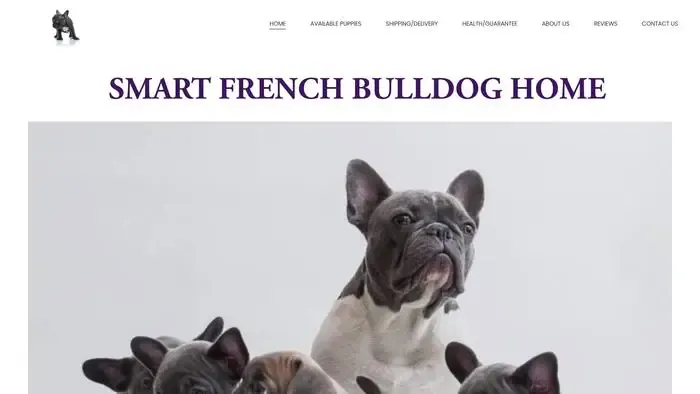 Screenshot of