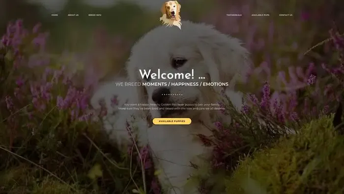 Screenshot of