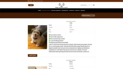Screenshot of