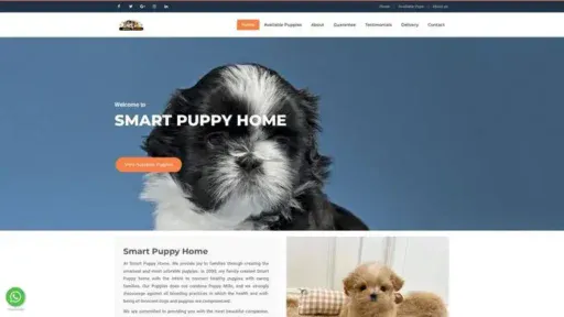 Screenshot of