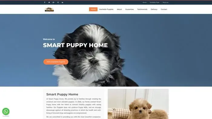 Screenshot of