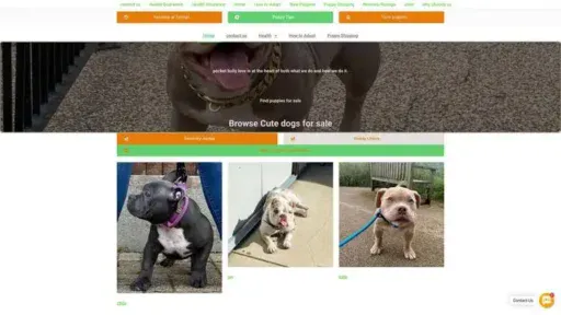Screenshot of