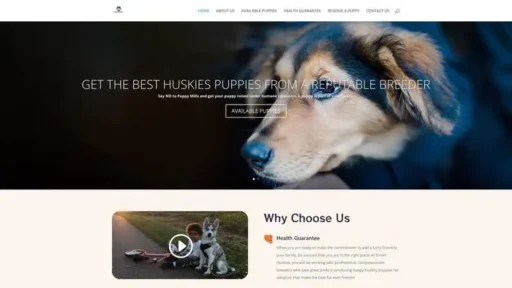 Screenshot of