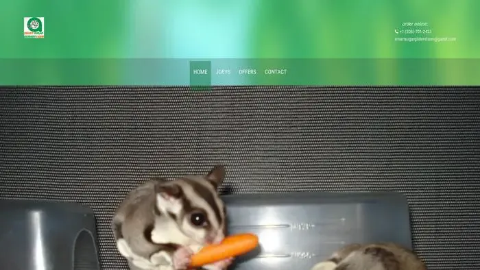 Screenshot of