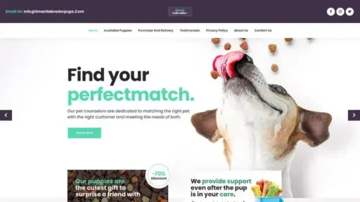 Screenshot of