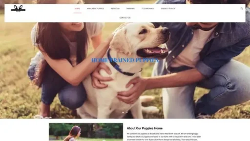 Screenshot of