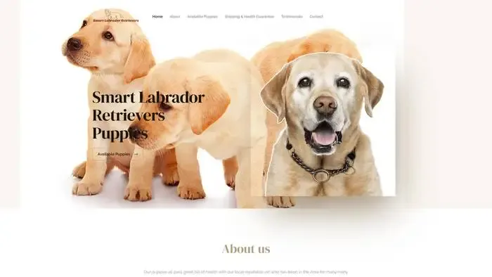 Screenshot of
