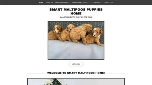 Screenshot of