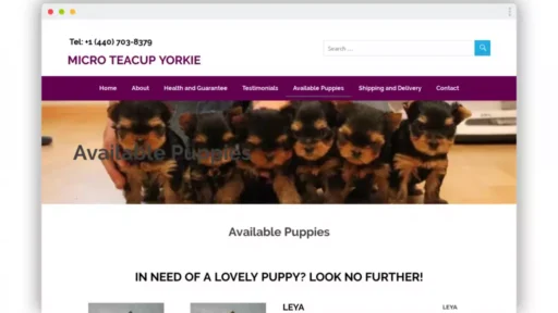 Screenshot of|