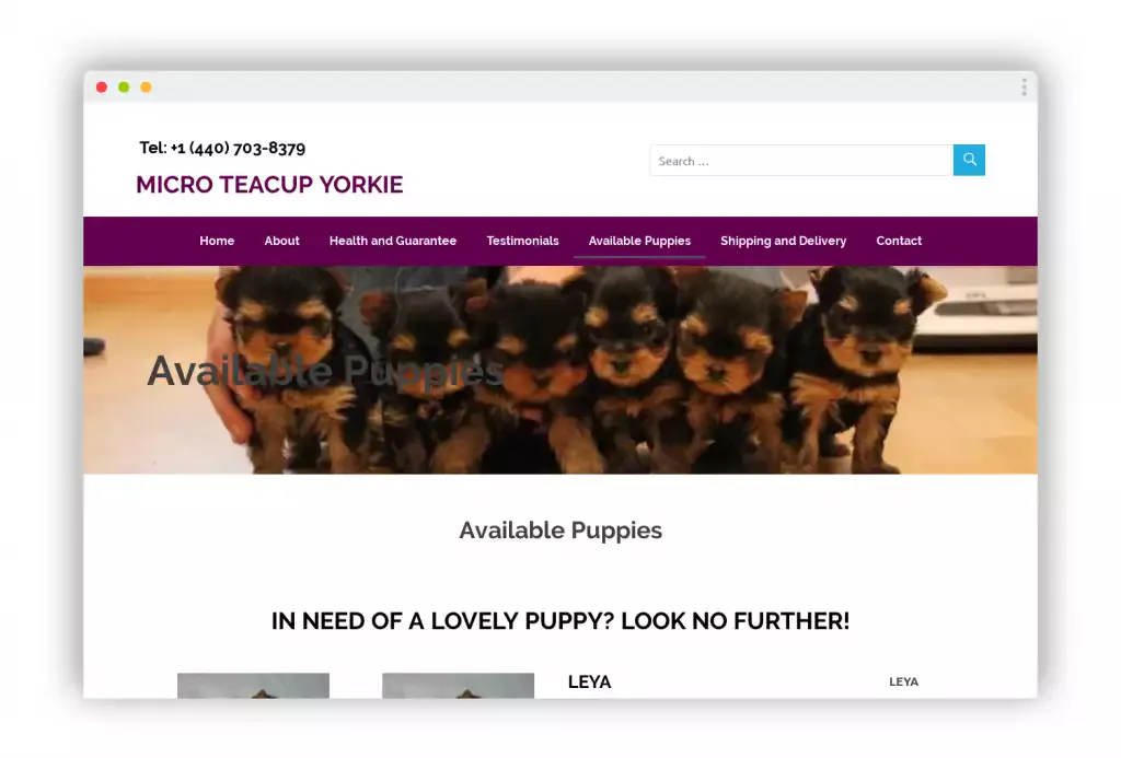 Screenshot of|