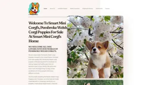 Screenshot of