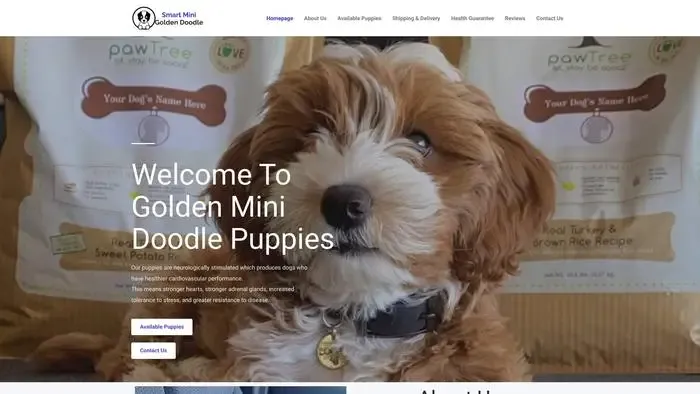 Screenshot of