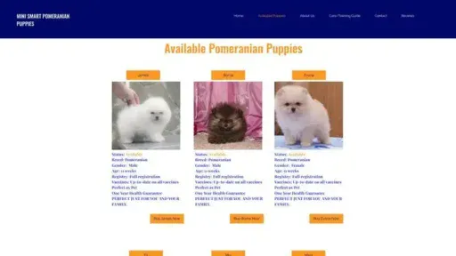 Screenshot of