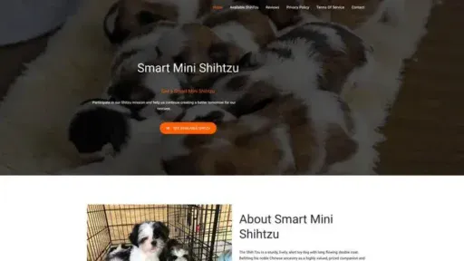 Screenshot of