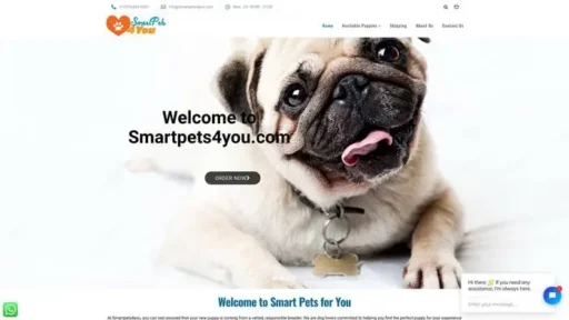 Screenshot of