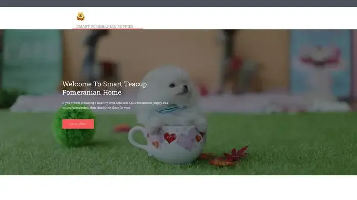 Screenshot of