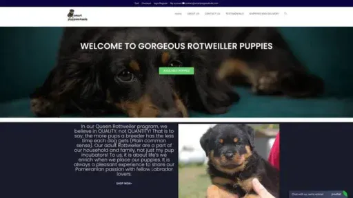 Screenshot of