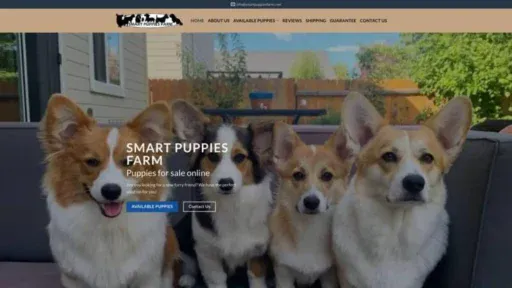 Screenshot of||