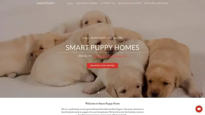 Screenshot of