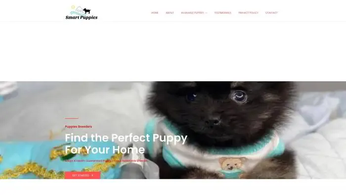 Screenshot of