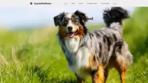 Screenshot of