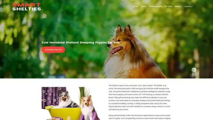Screenshot of