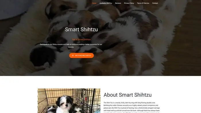 Screenshot of