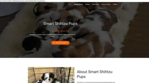 Screenshot of